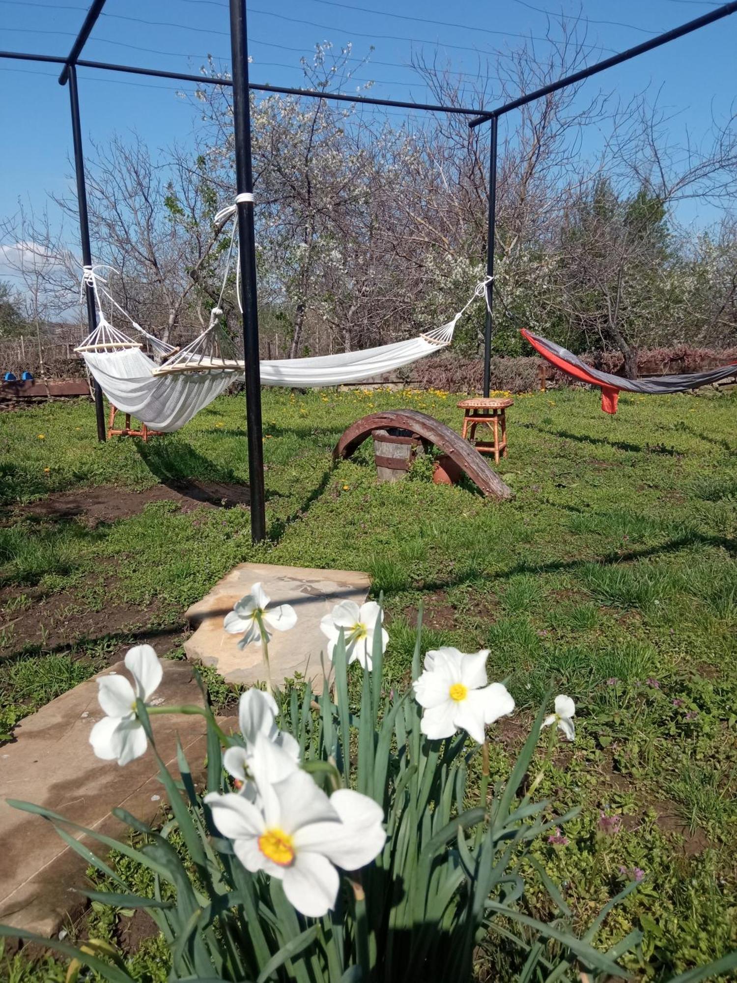 Guest House Art Eco Land Ganchovets Luaran gambar